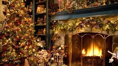 Trees Christmas merry