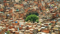 Trees cityscapes architecture buildings