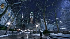 Trees cityscapes new york city