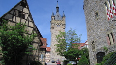 Trees cityscapes tower cars