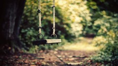 Trees close-up paths bokeh outdoors swings