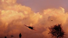 Trees clouds Aircraft silhouettes