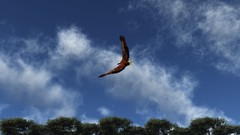 Trees clouds Birds Eagles