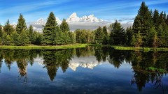 Trees clouds lakes reflections forests skyscapes