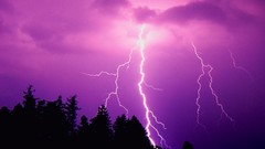 Trees clouds Lightning skylines