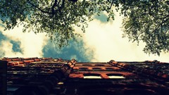 Trees clouds London houses skyscapes