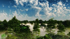 Trees clouds mist forests blue skies