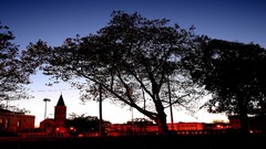 Trees clouds panorama silhouettes