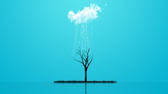 Trees clouds rain blue skies minimalistic artistic