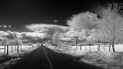 Trees clouds roads monochrome