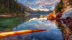 Trees clouds skies scenic