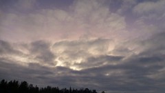 Trees clouds skyline
