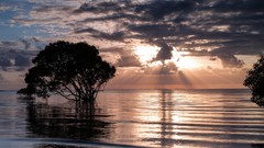 Trees clouds sunlight waterscapes