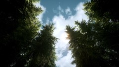 Trees clouds the elder scrolls v skyrim
