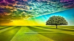 Trees colors artwork