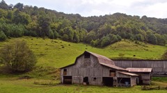 Trees country barn Alice highlands forests plains towns Jane