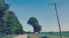 Trees country farm roads Rural