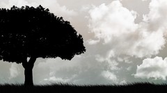 Trees dark black and white