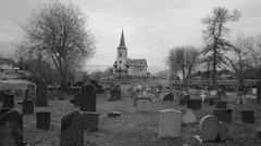 Trees dark black and white cemetery churches