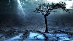 Trees dark Gothic deserts