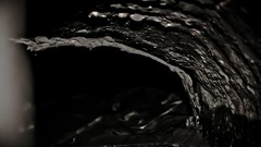 Trees dark night old