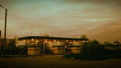 Trees dark old Russia