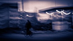 Trees dark old Russia