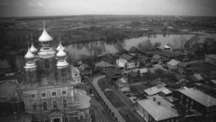 Trees dark old Russia