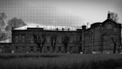 Trees dark old Russia