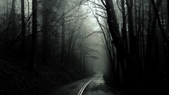 Trees dark roads Greg Martin monochrome forests