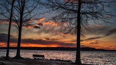 Trees dawn bench lakes