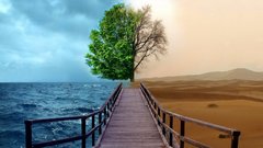 Trees deserts Photo manipulation