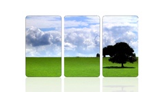 Trees digital art clouds