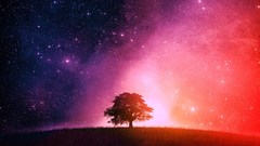 Trees digital Art nature