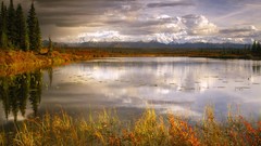Trees distance lakes reflections