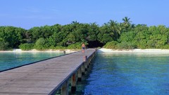 Trees dock Islands Sea