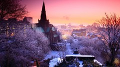 Trees dusk cities skies churches