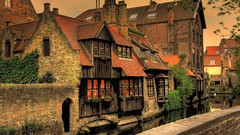 Trees Europe Belgium houses cityscapes european Bruges