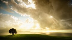 Trees field clouds landscape sky sunlight nature outdoors