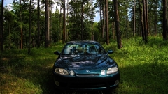 Trees forest cars nature