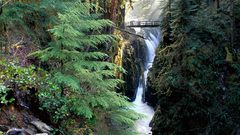 Trees forests Bridges waterfalls