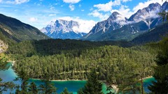 Trees forests Canada Landscapes