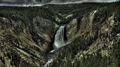 Trees forests cliffs