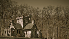 Trees forests houses Medieval