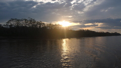 Trees forests lakes rivers