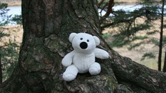 Trees forests teddy bears stuffed animals