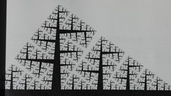 Trees fractal geometry shapes grayscale