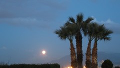 Trees full moon Izmir sunay