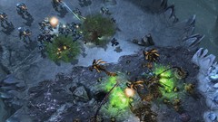 Trees game fight shooting flying video creatures starcraft 