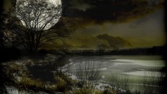 Trees Gothic moon lakes